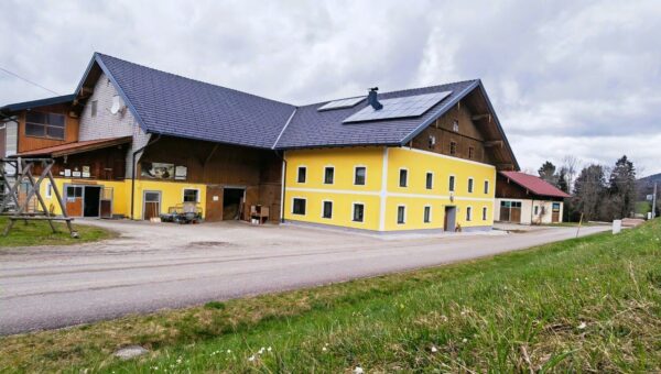 Landwirtschaft | Fenster